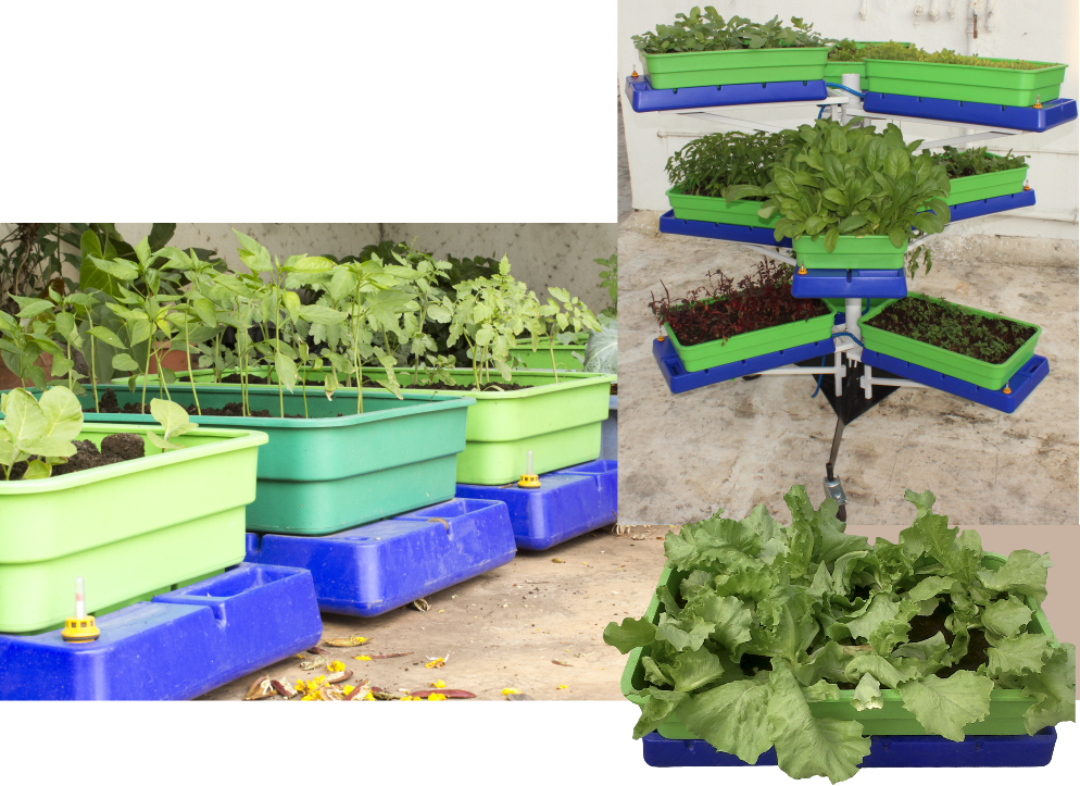 Some examples of the GroEzee system being used in terraces and balconeys